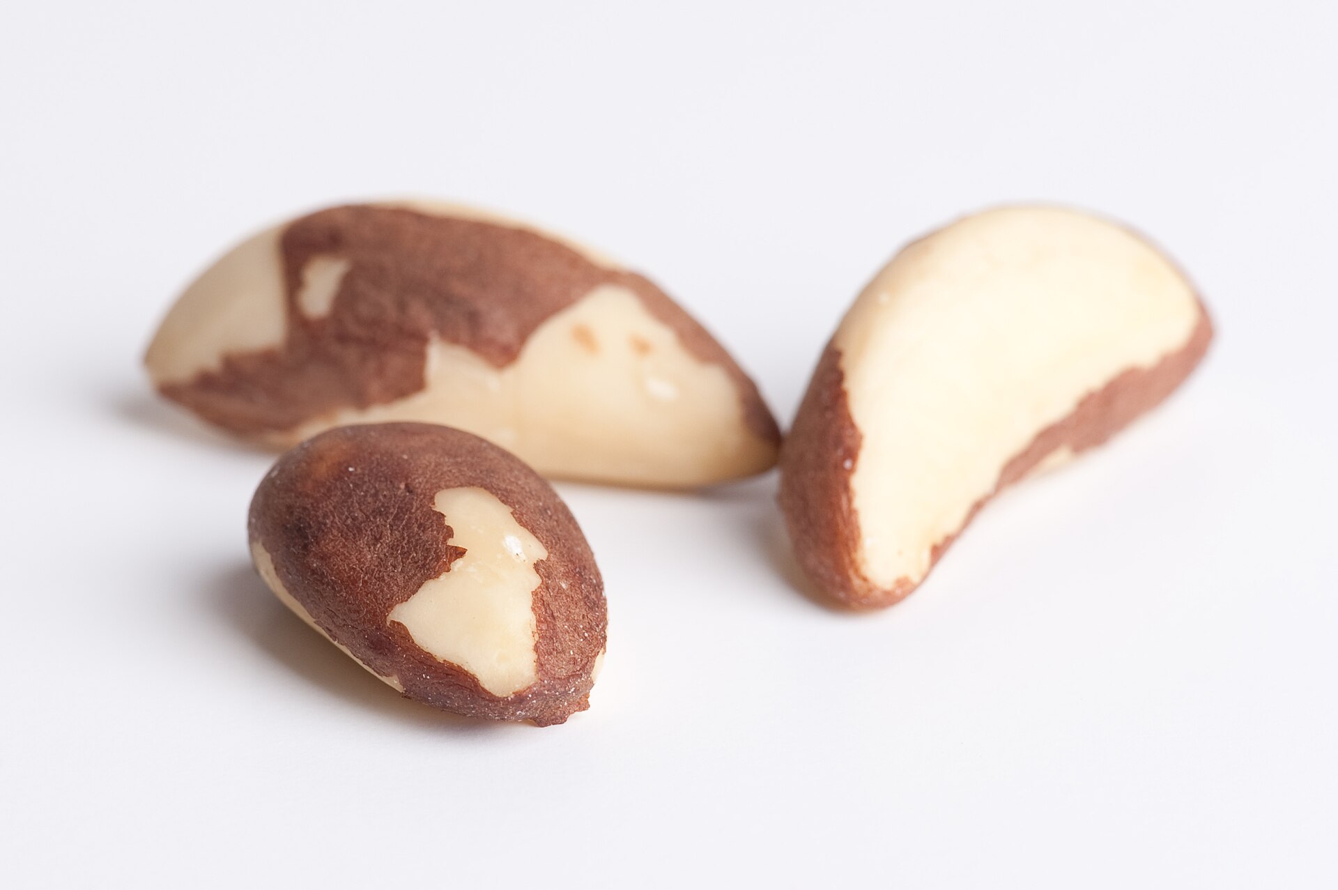 Amazon Brazil Nuts (Castanha)