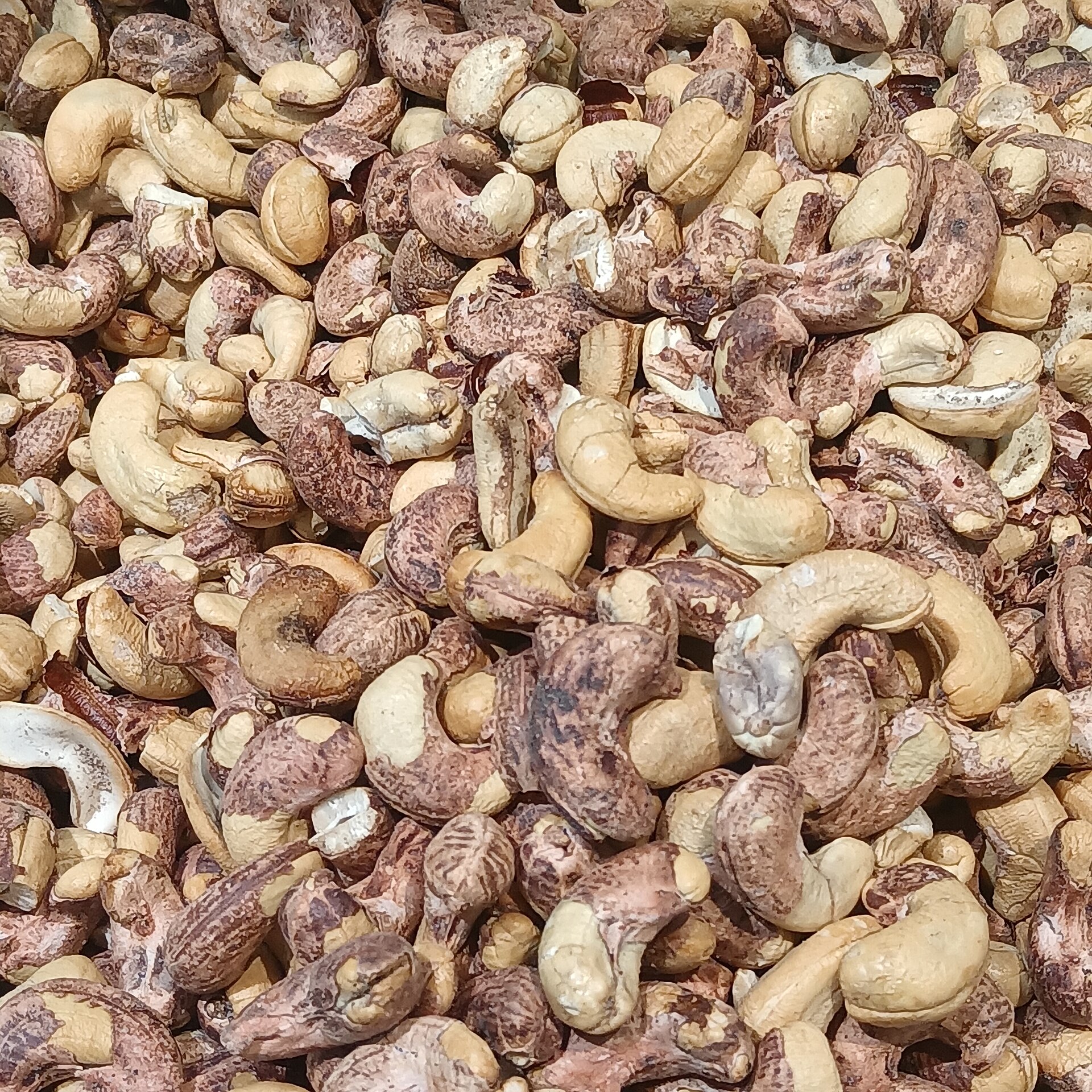 W320 Everyday Cooking Cashews