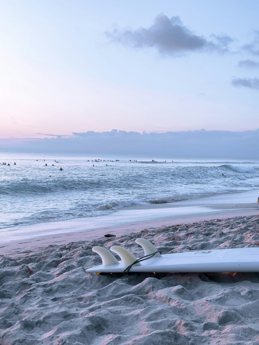 Boards