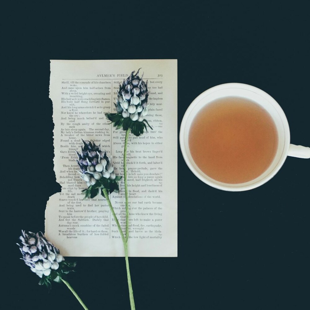 Cupola Festival Gift Tin Trio