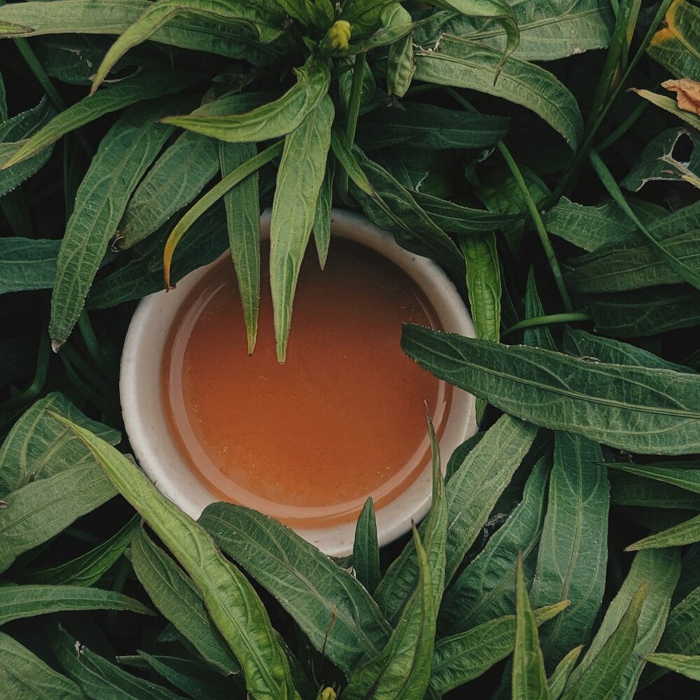Glenburn Moonlight Darjeeling 75g