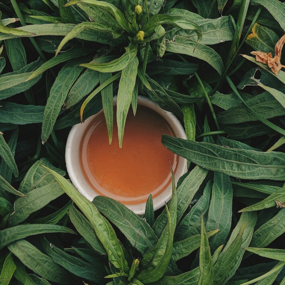 High Mountain Danjiaoling Oolong 100g