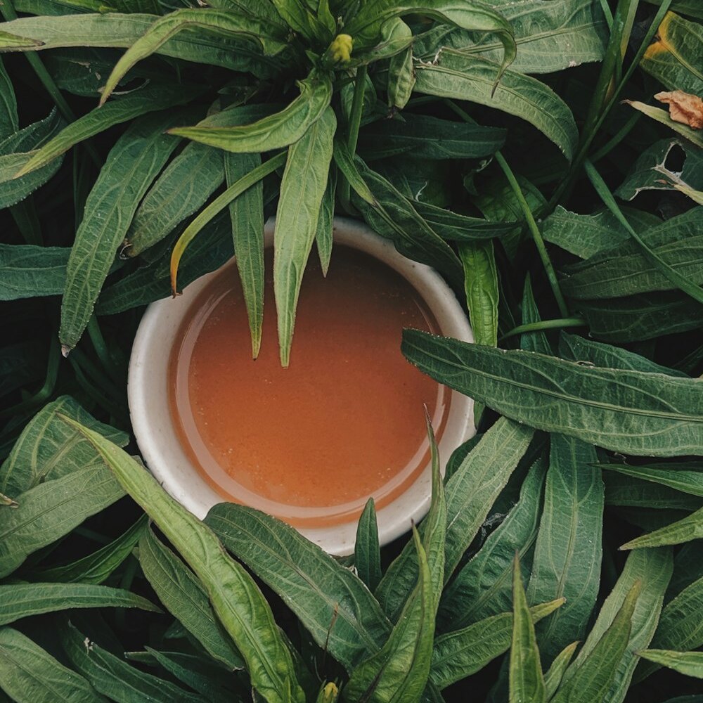 Kangra Valley Orthodox 100g