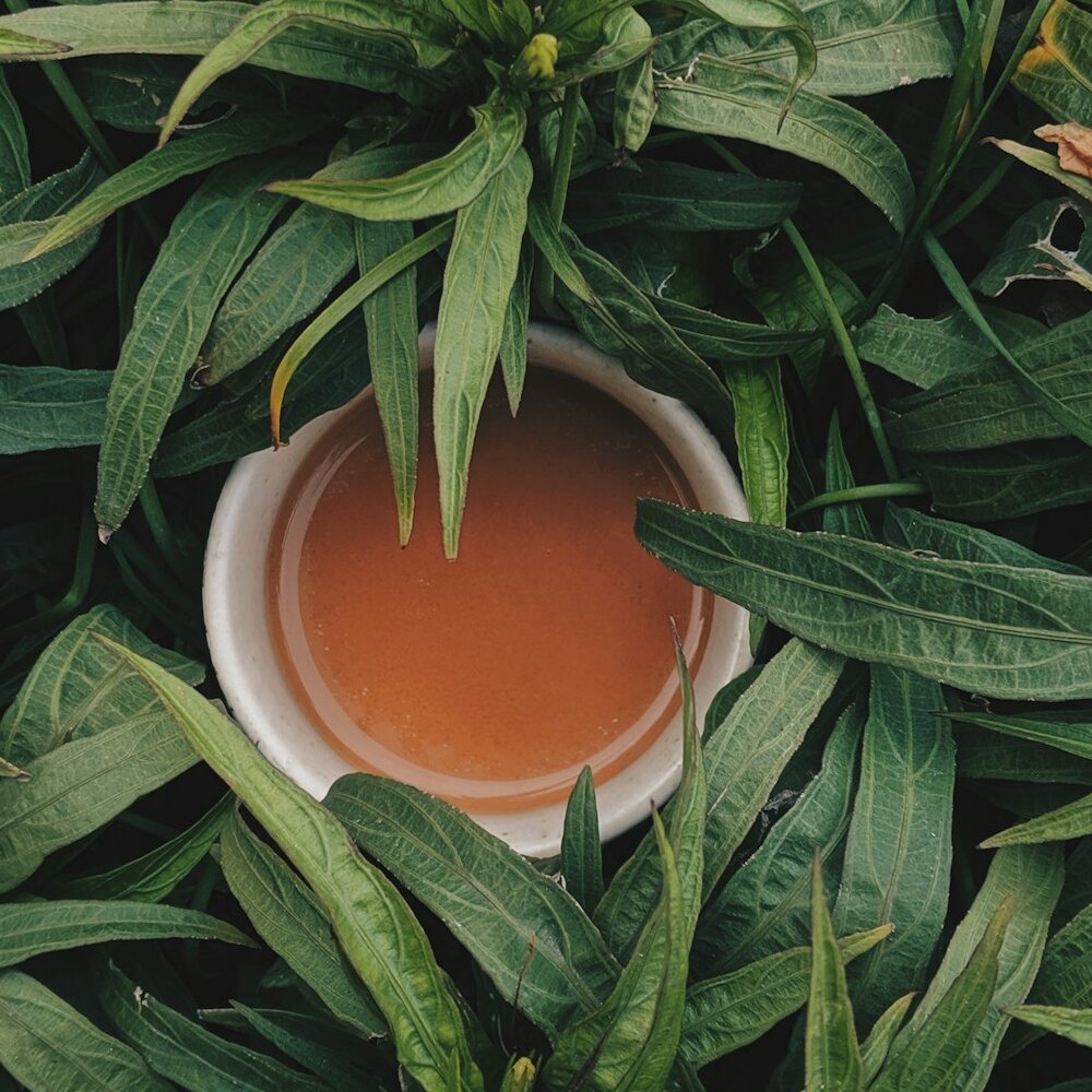 Moonlight White Darjeeling 50g