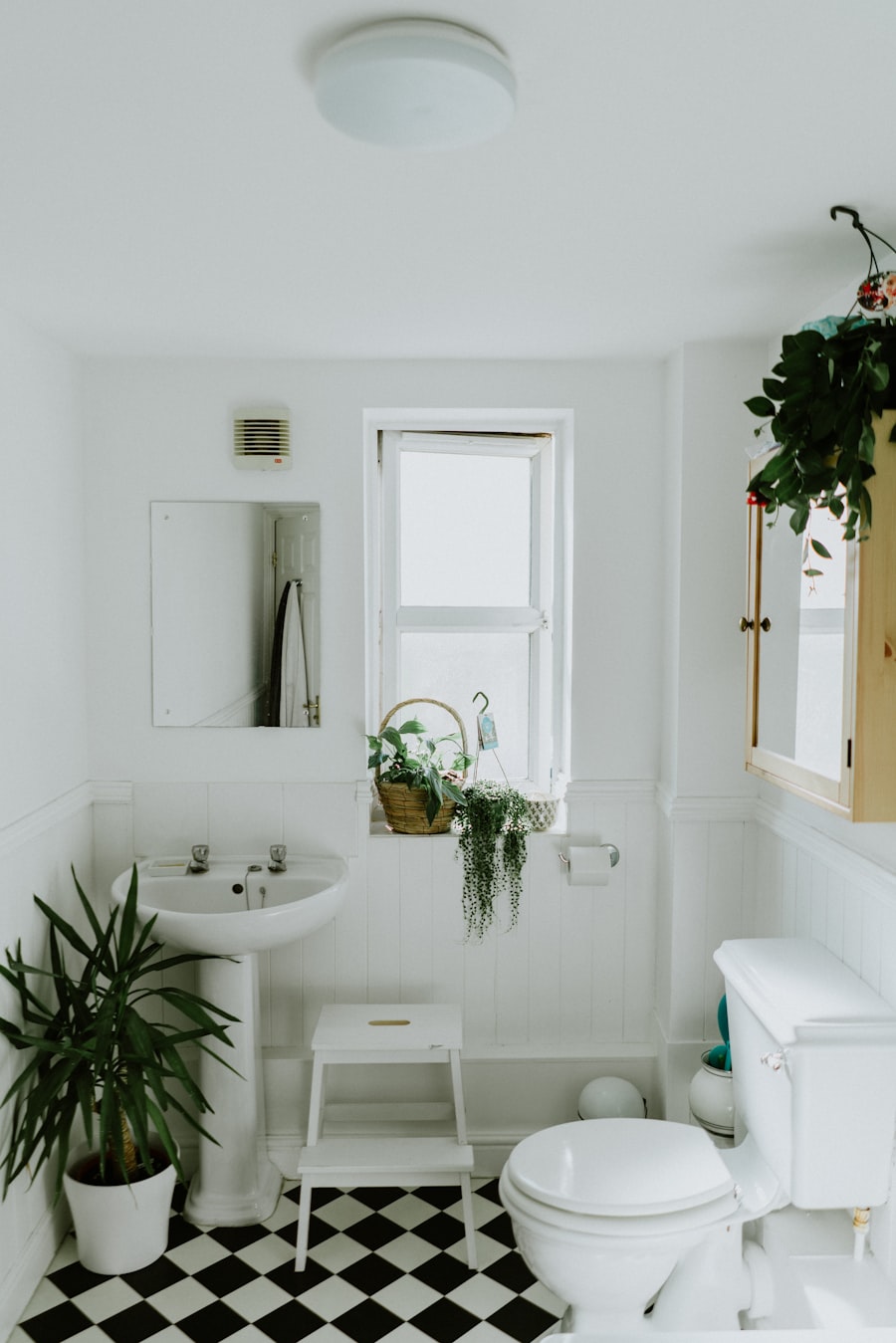 Bath Ritual Edit