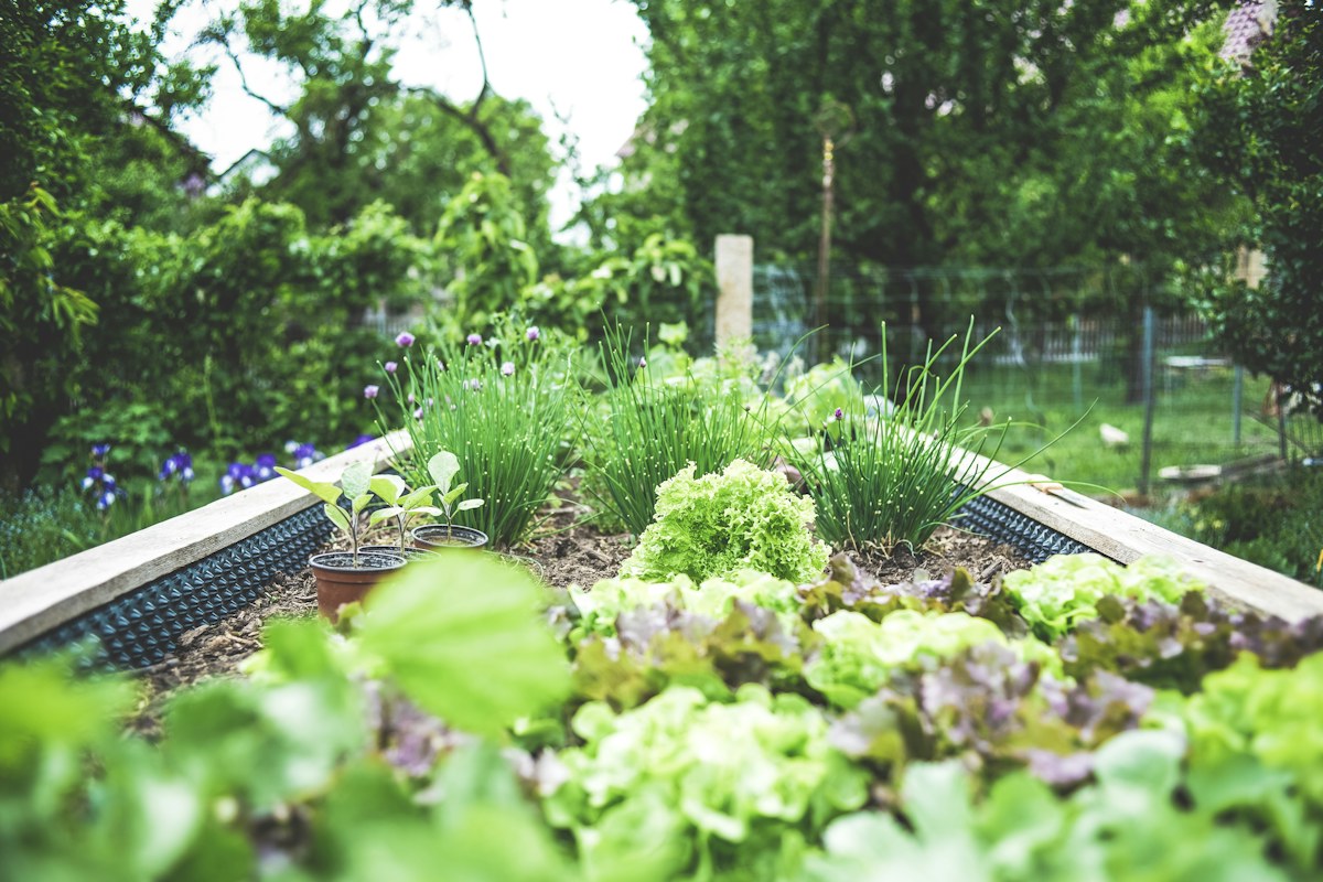 Garden Table