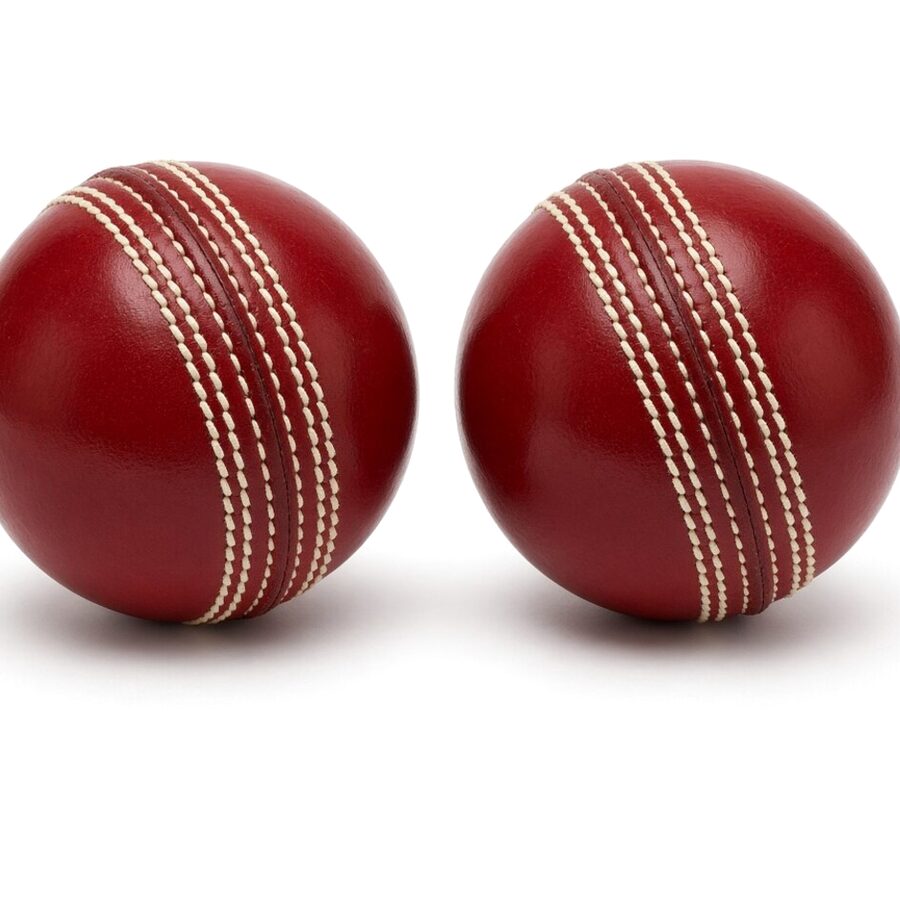 Wicket Keeping Gloves