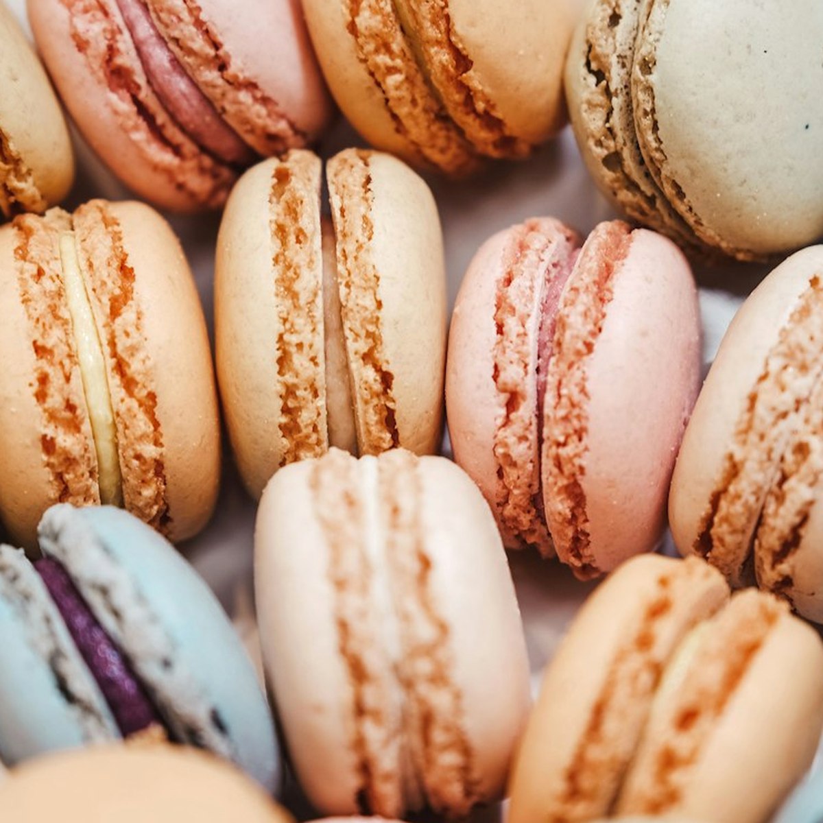 Pistachio Macaron Six Soft