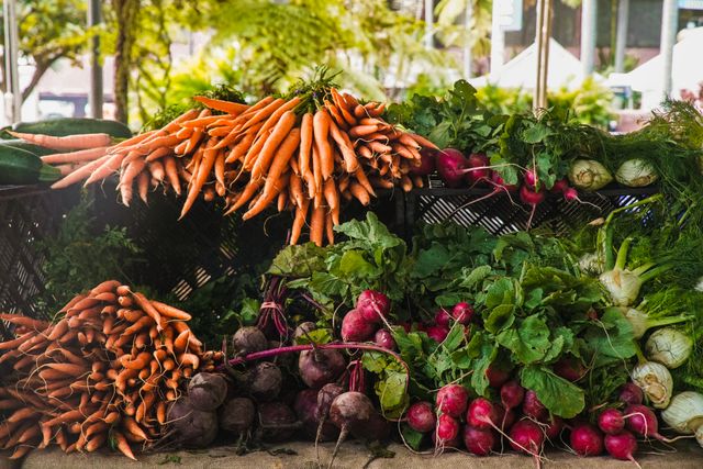 Market Morning Bundle