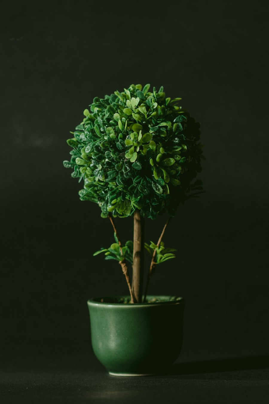 Propagation