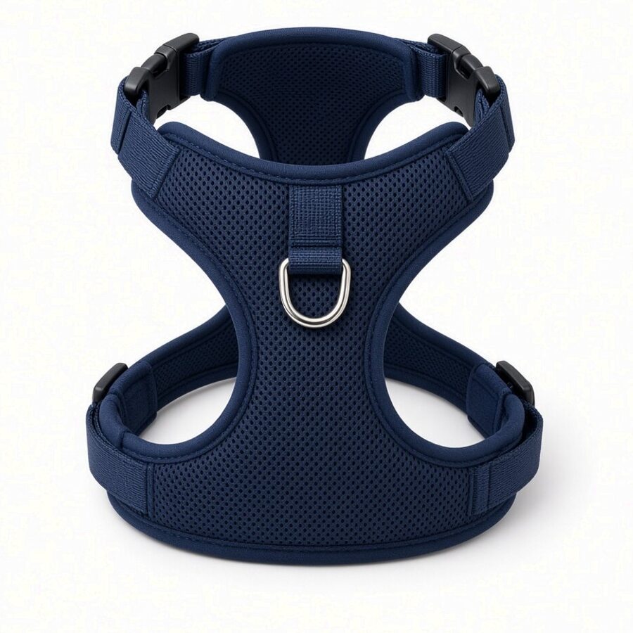 No-Pull Harness