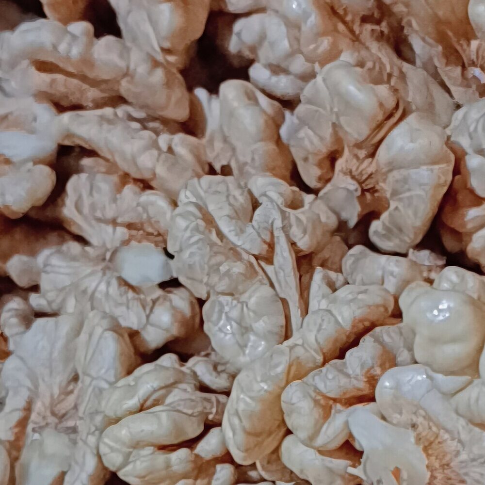 Chilean Walnuts Light