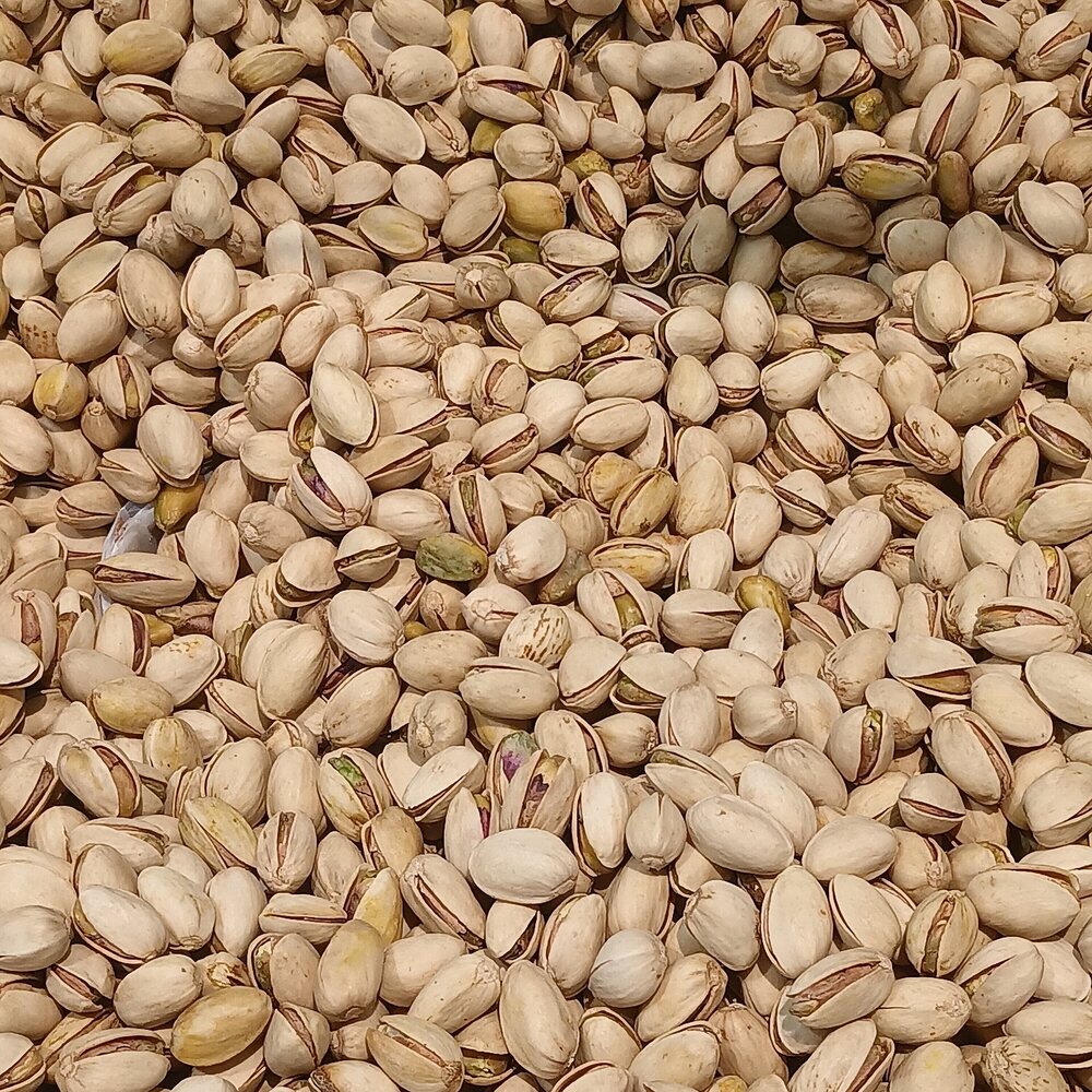 Iranian Salted Pistachios