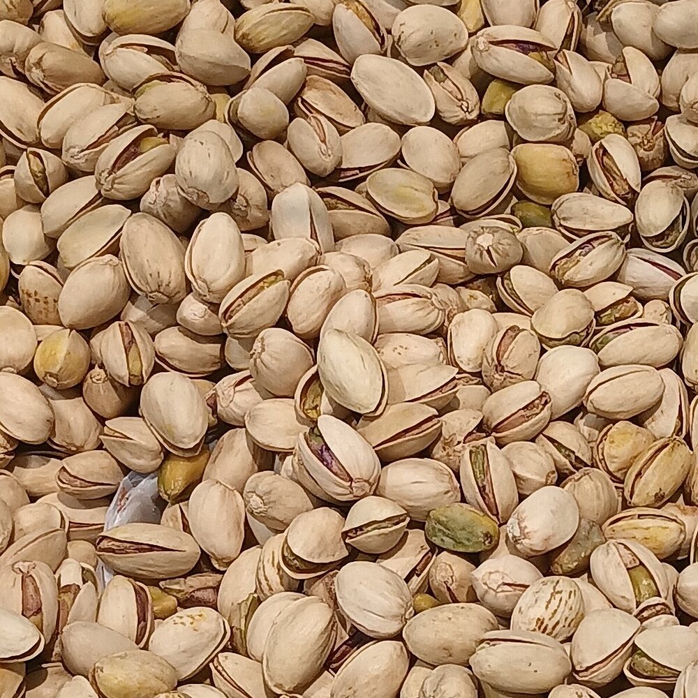 Salted Pista Family
