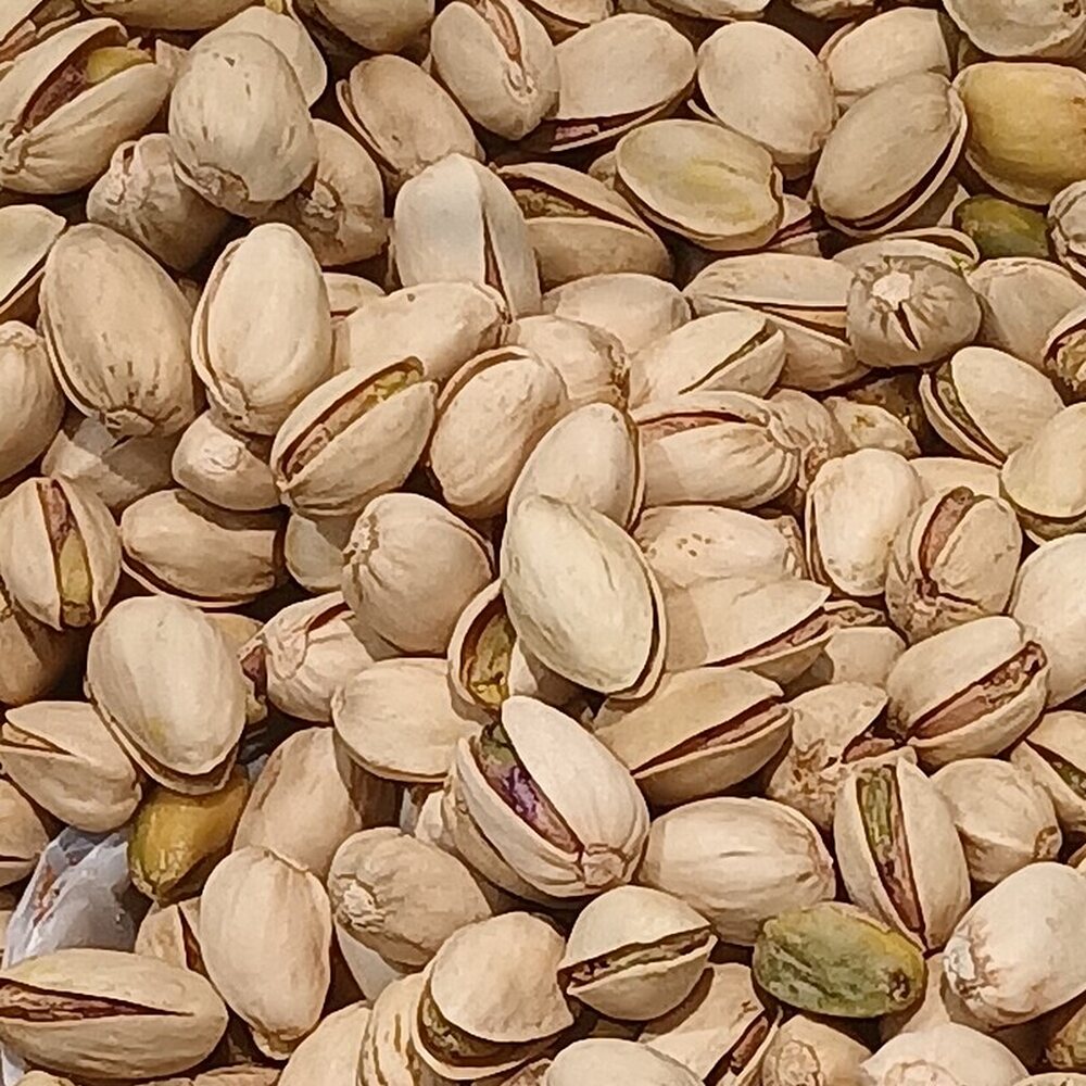 Salted Pista Family