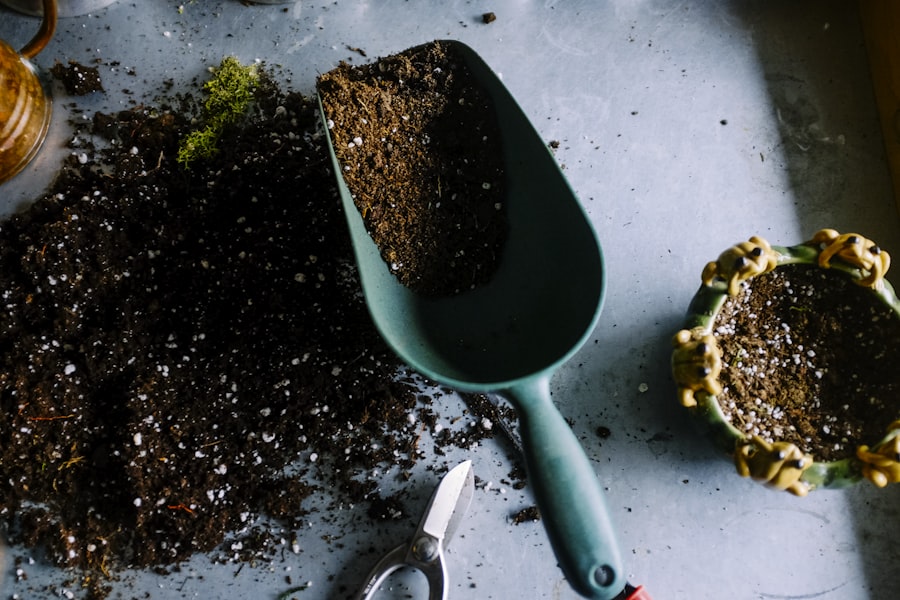 Olive Branch Bundle