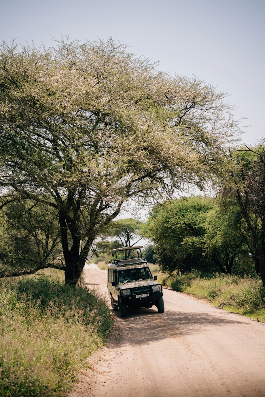 Jeep Day Safari Kit