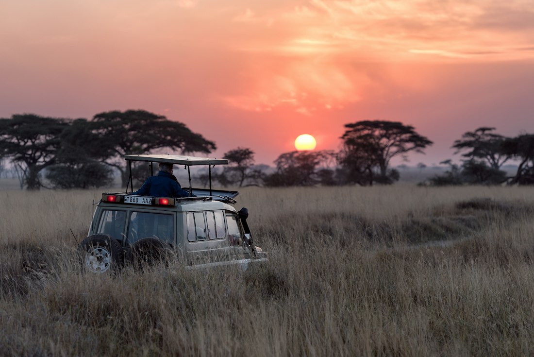 Serengeti Grand Safari Set