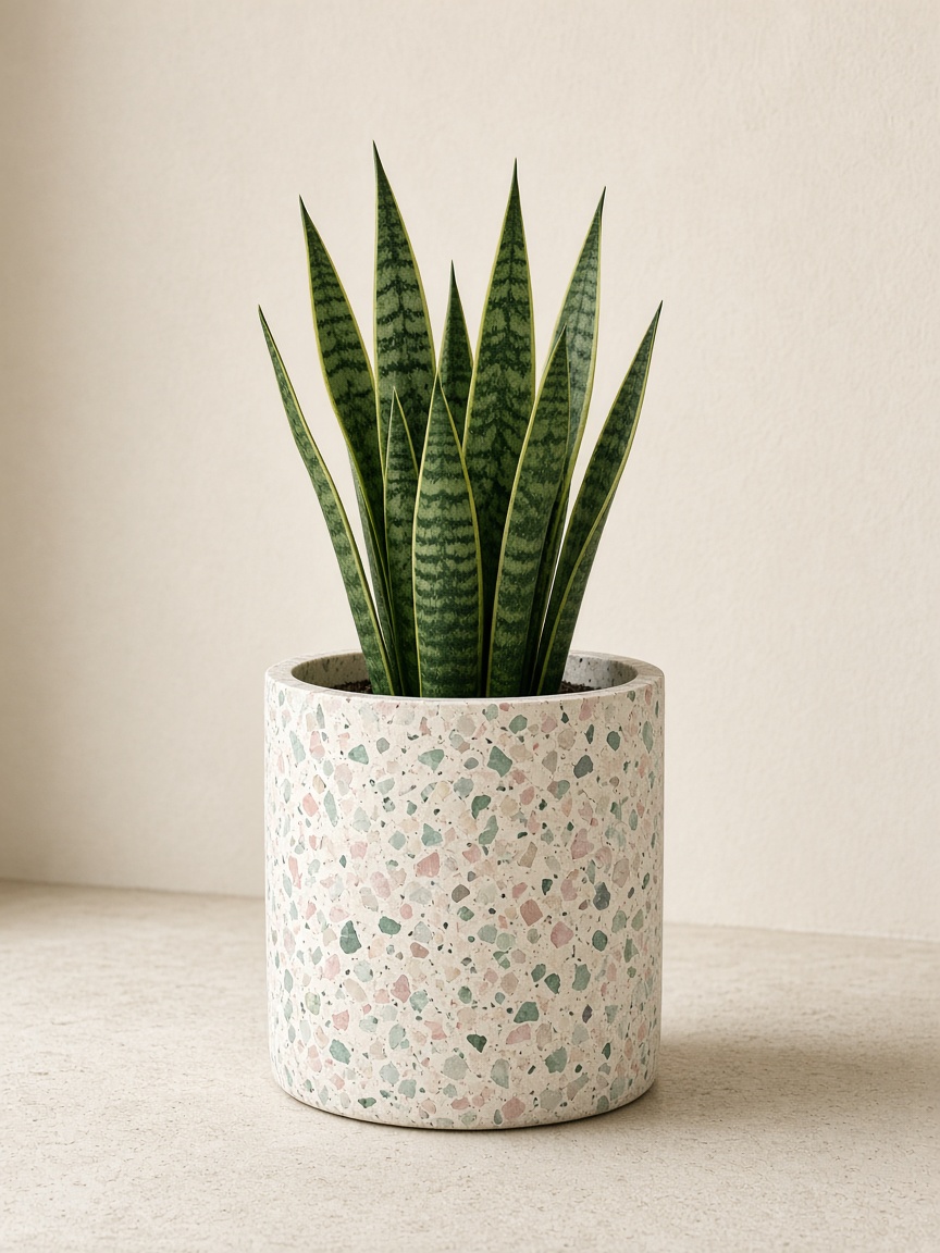 Planters